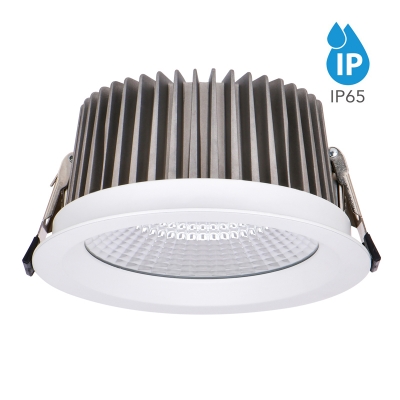 Recessed Mounted Waterproof COB LED Downlight DLW5